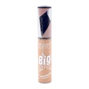 Ushas Big Cover Concealer Cushion [3379]