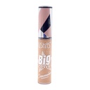 Ushas Big Cover Concealer Cushion [3379]